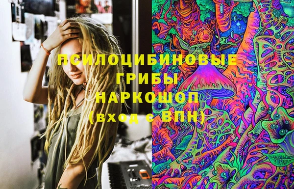 ешки Алзамай